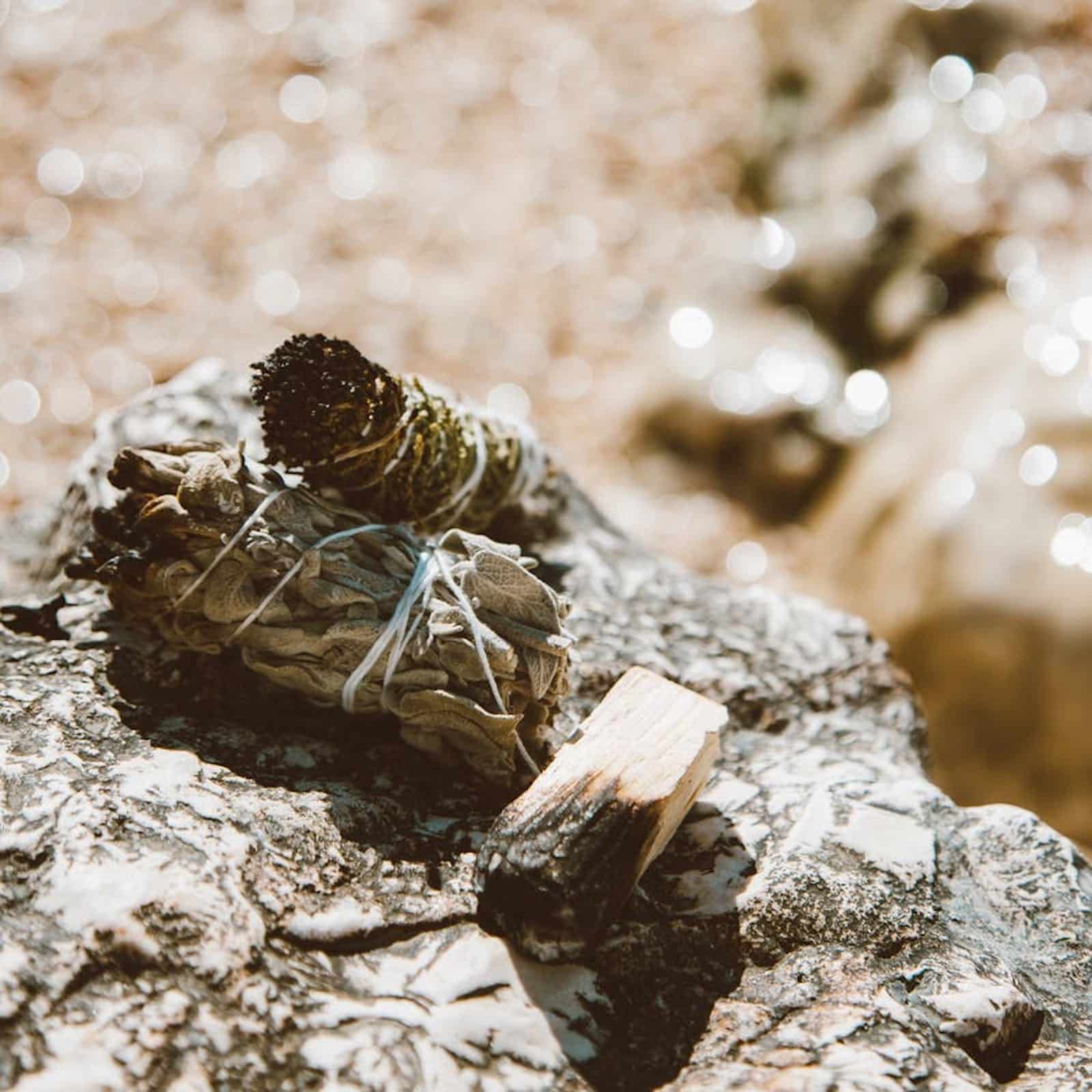 An image of sage smudge sticks and palo santo burning in the foreground on top of a rock.